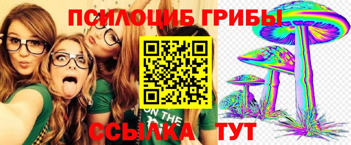 Псилоцибиновые грибы прущие грибы  где купить наркотик  Вход с VPN  Фролово  Псилоцибиновые грибы Psilocybine cubensis 