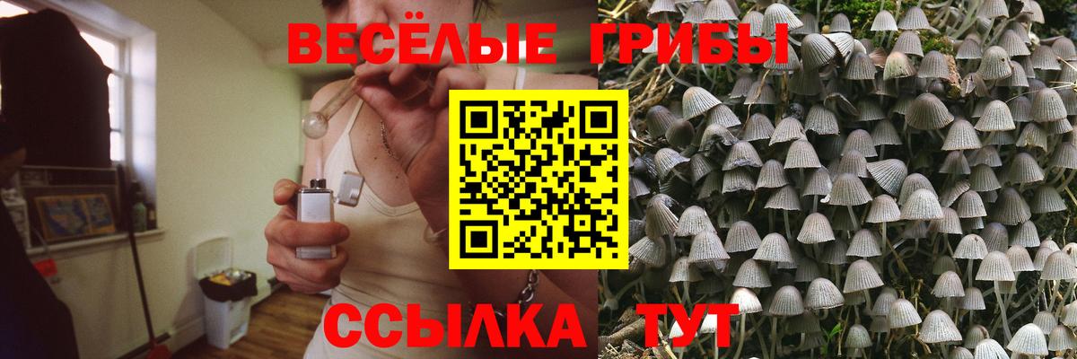 Галлюциногенные грибы MAGIC MUSHROOMS Фролово